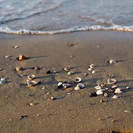 Beachside Retreat With Terrace In